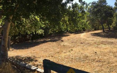 $700,000 Novato CA